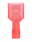 22-18 3-pc F/I Nylon Insulated .250 MQC